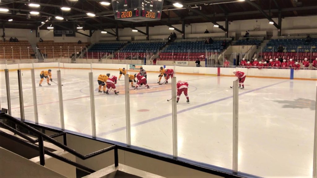ice hockey fun facts about Canada