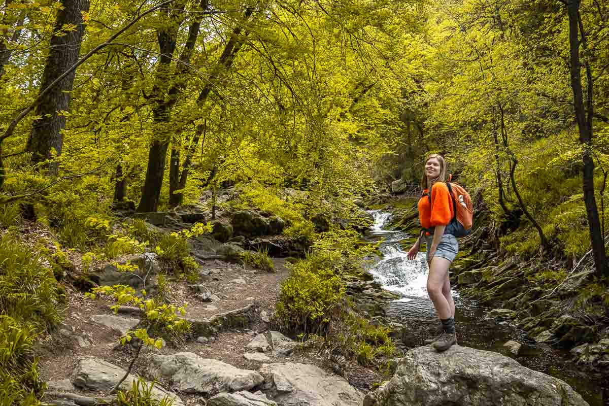 Hoegne hike