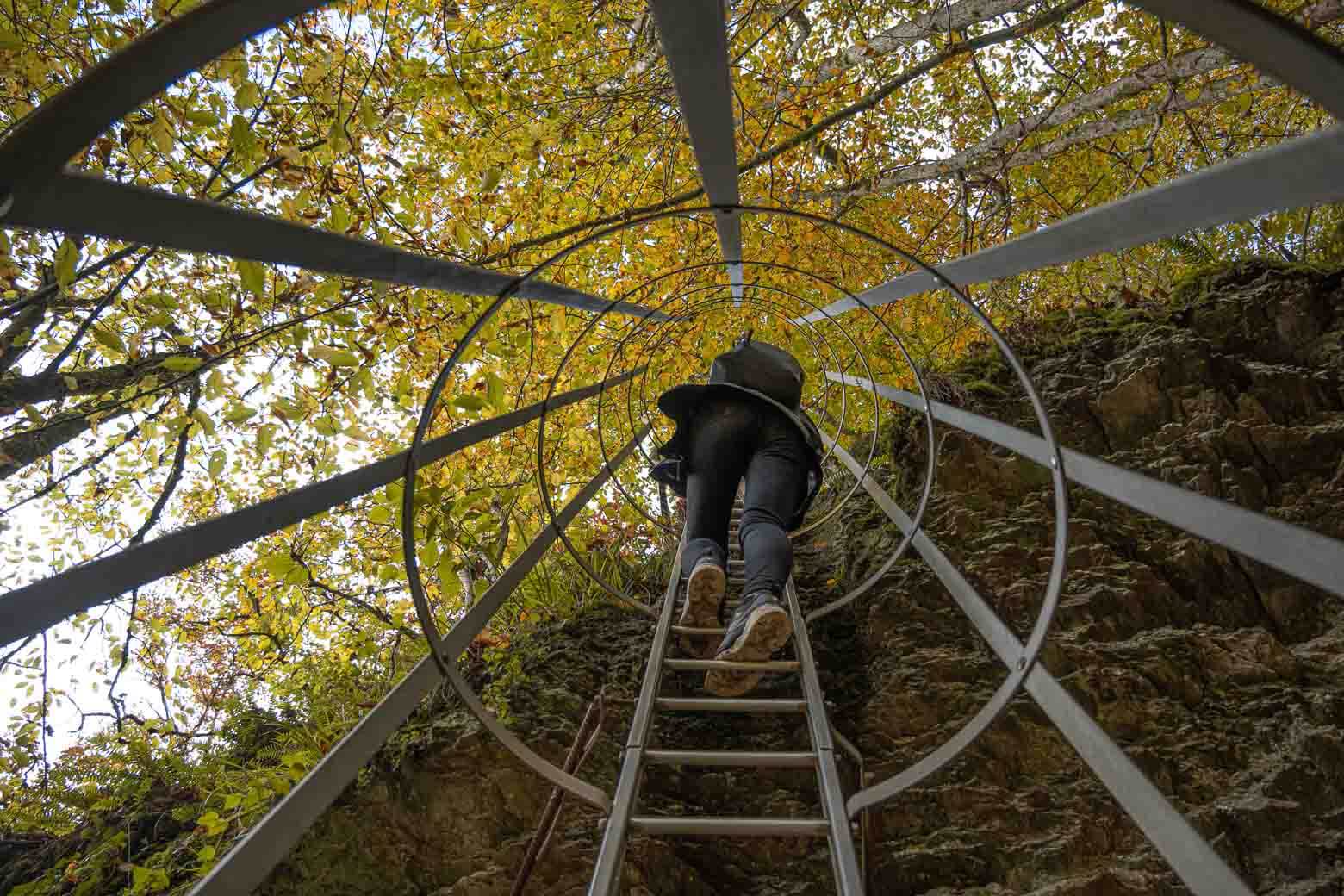 Laddertjeswandeling