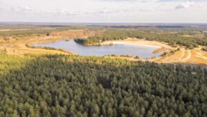Hiking in the Lommel Sahara: the desert of Belgium