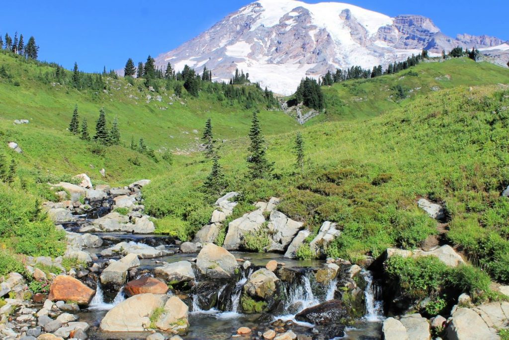 Mount Rainier National Park