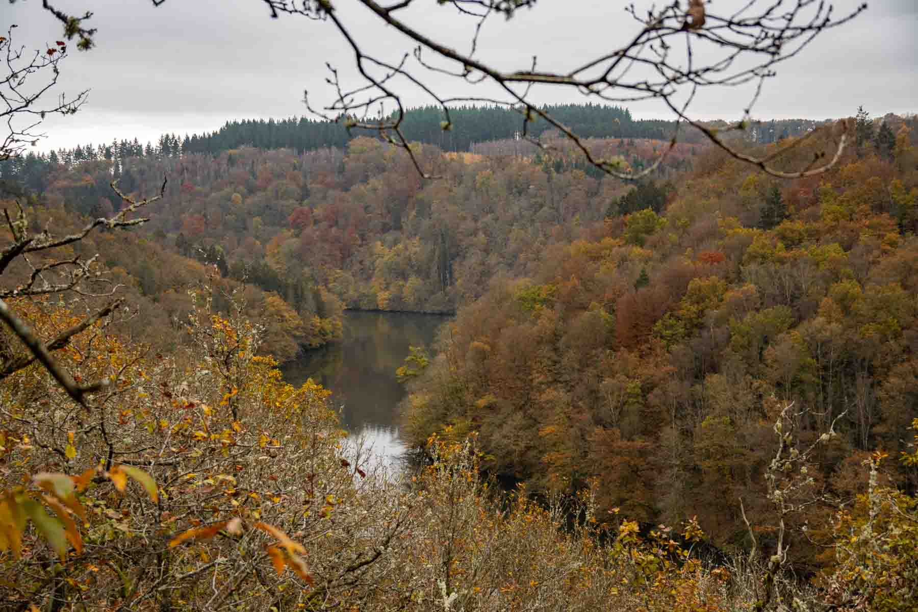 Nisramont hike