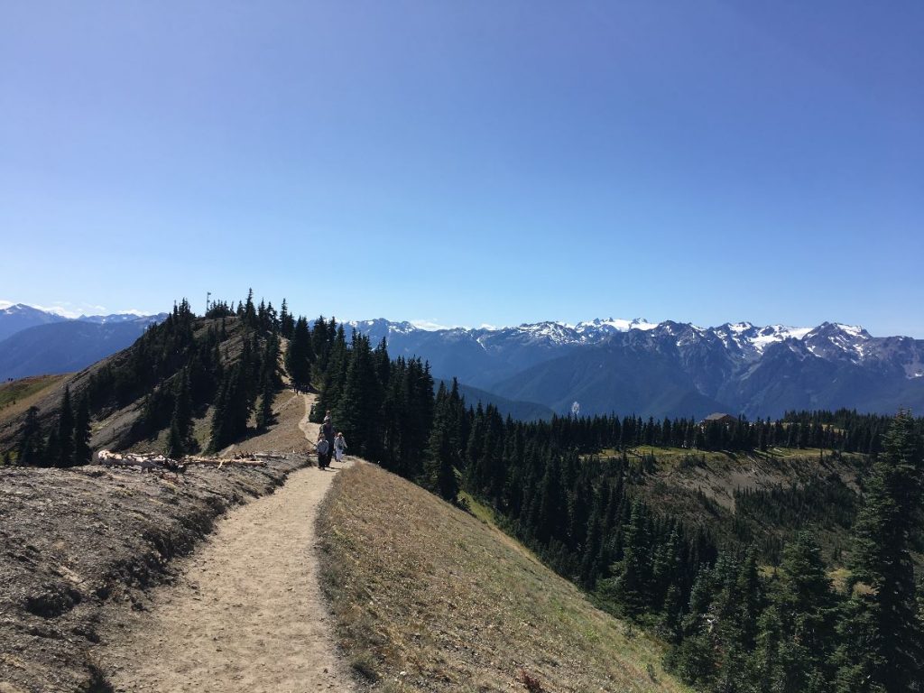 Olympic National Park