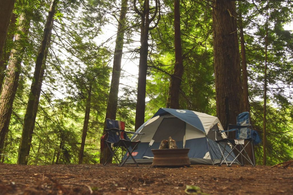 Redwood National Park