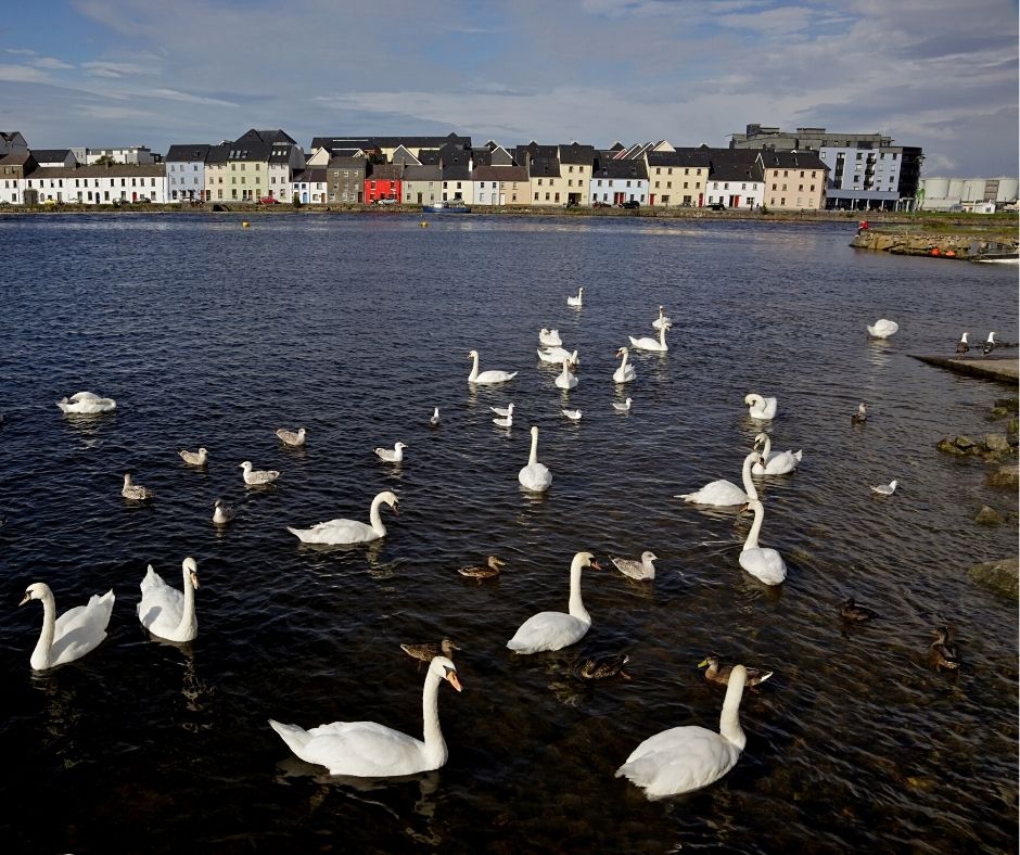 Galway, Ireland in fall