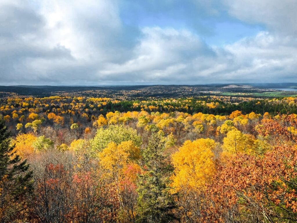 Algonquin Park in Fall