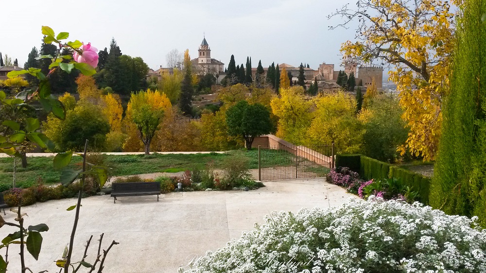mild winter in granada spain