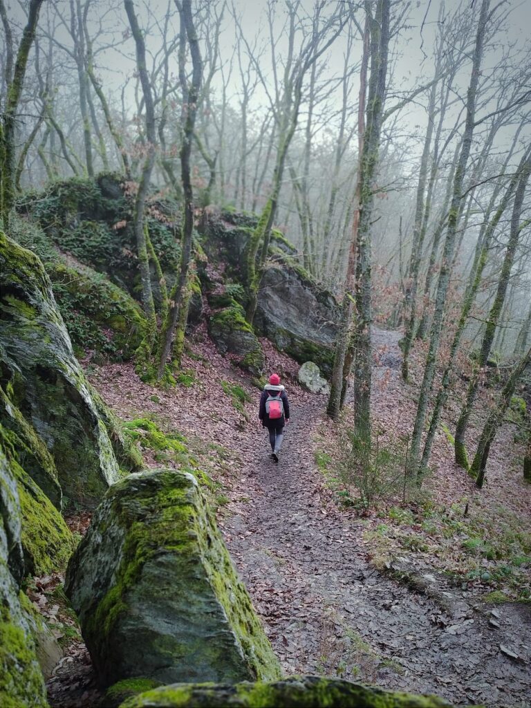 hike les deux ourthes