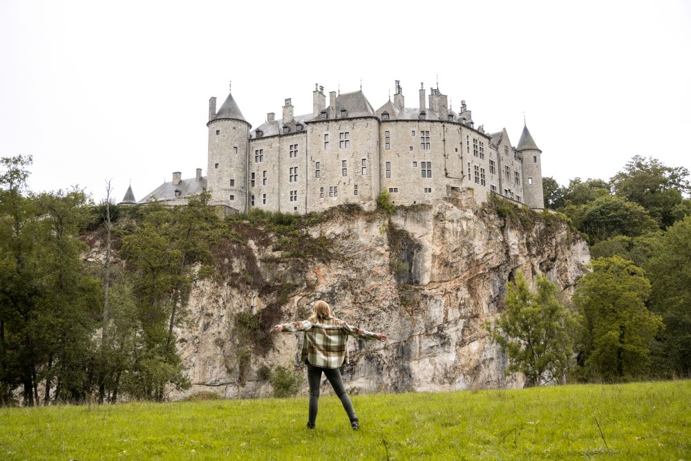 Walzin Castle from the meadow