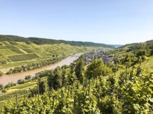 Cities on the Moselle