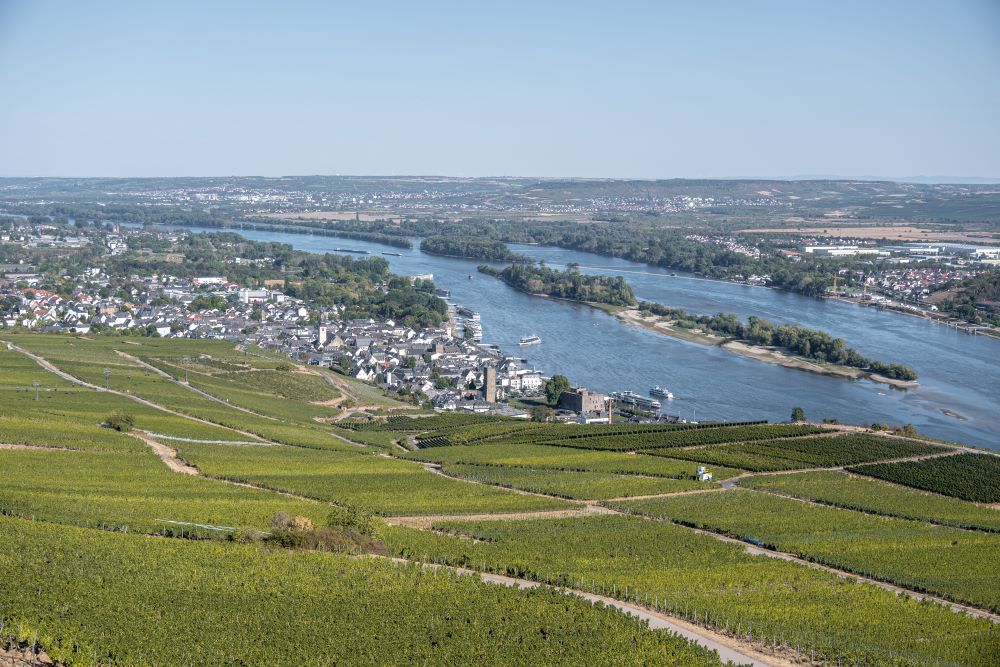 Rhine valley Germany