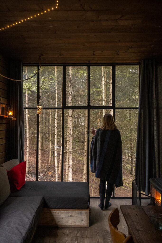 the view from the Canopy Cabin