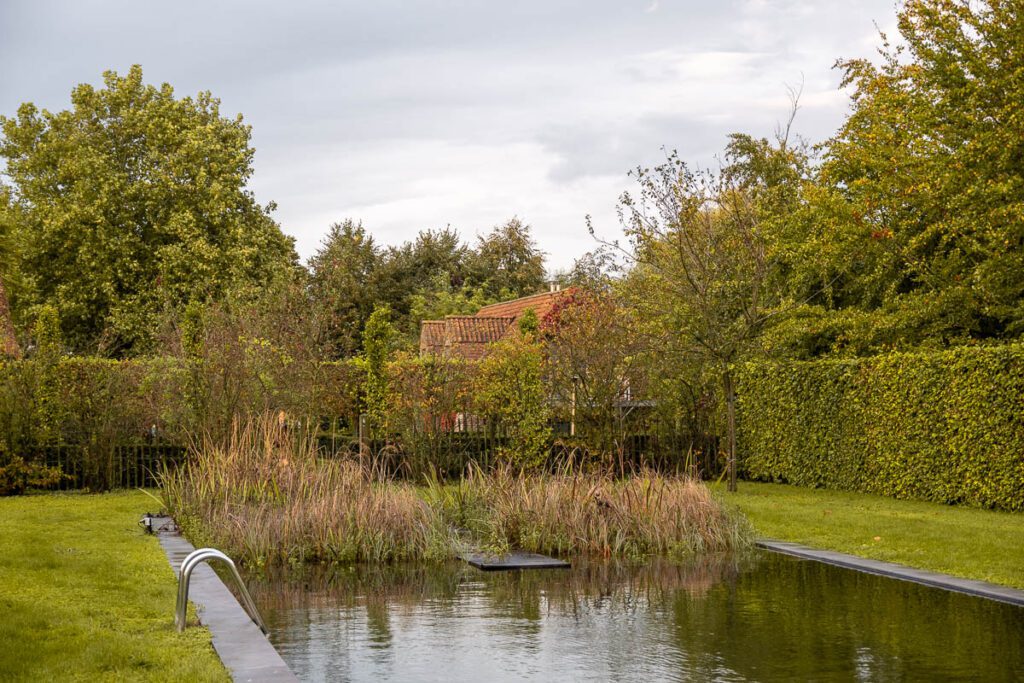 Swimming pool at B&B Domein Den Buiten