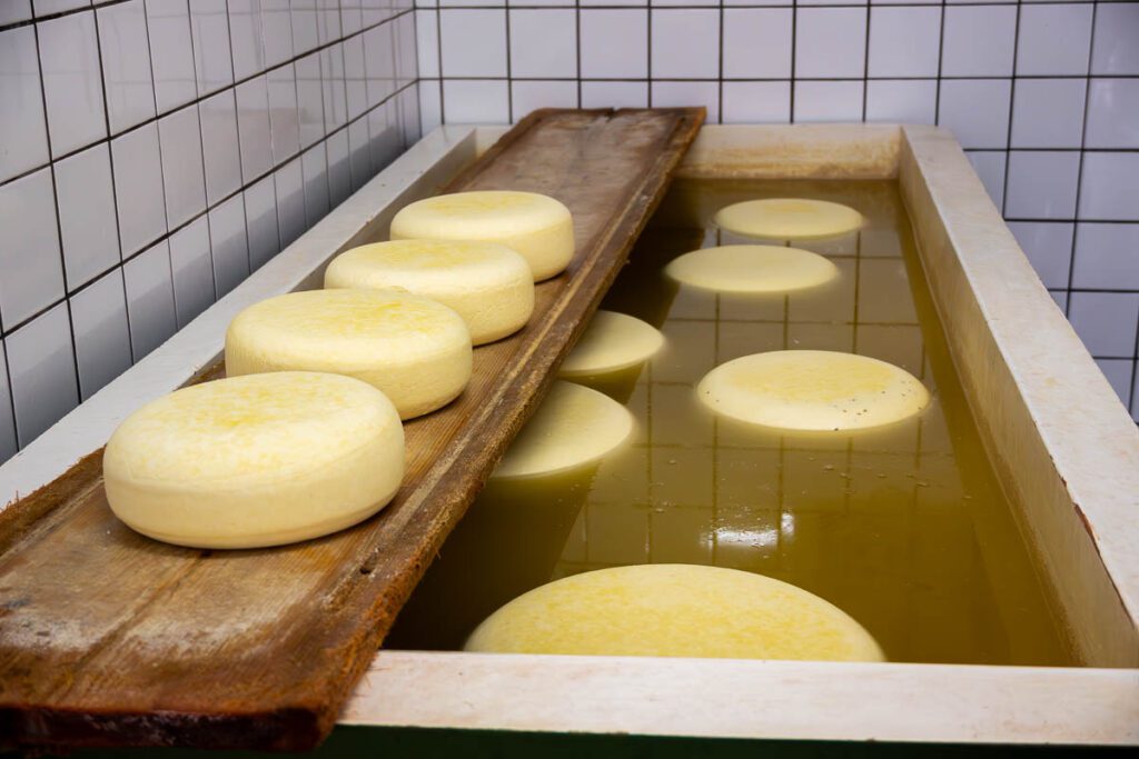 Cheese bath at Cheese farm Hoogerwaard