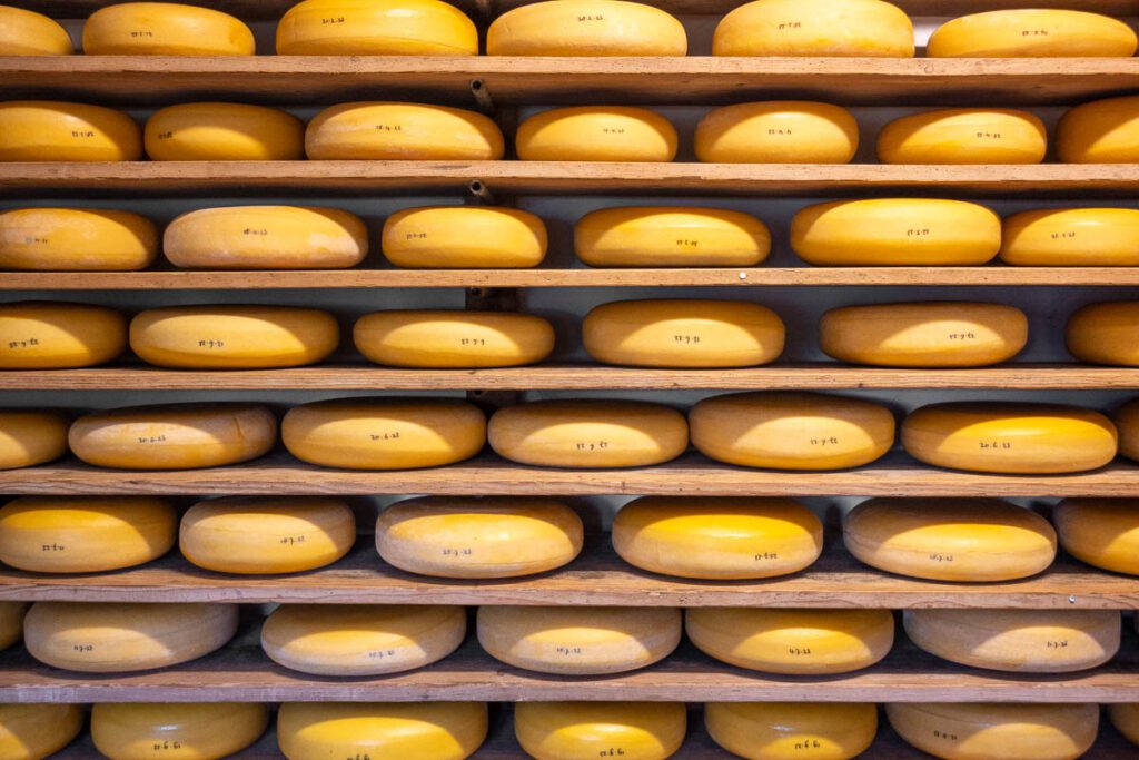 Boerenkaas at Cheese Farm Hoogerwaard