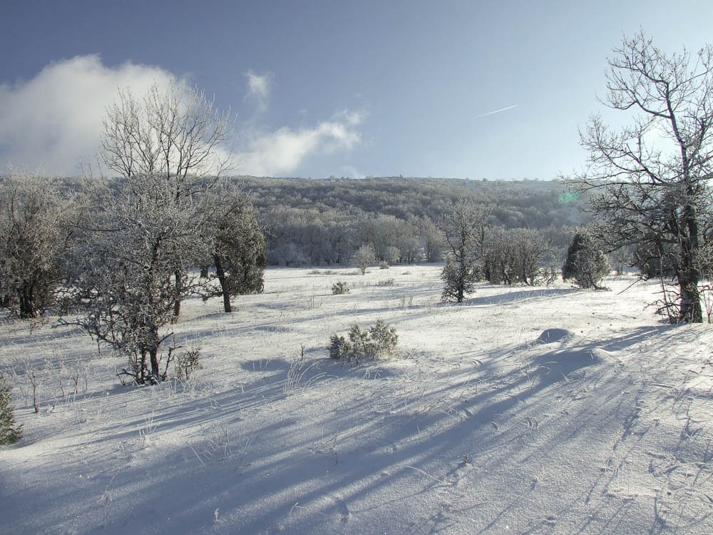 snowy landscape