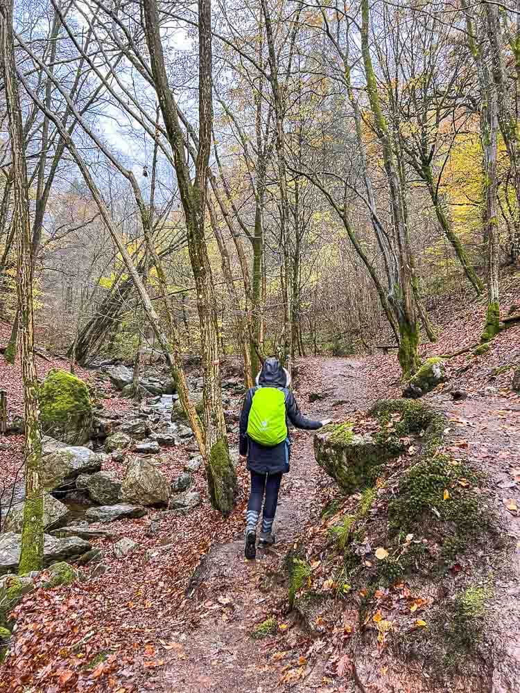 Ninglinspo hike