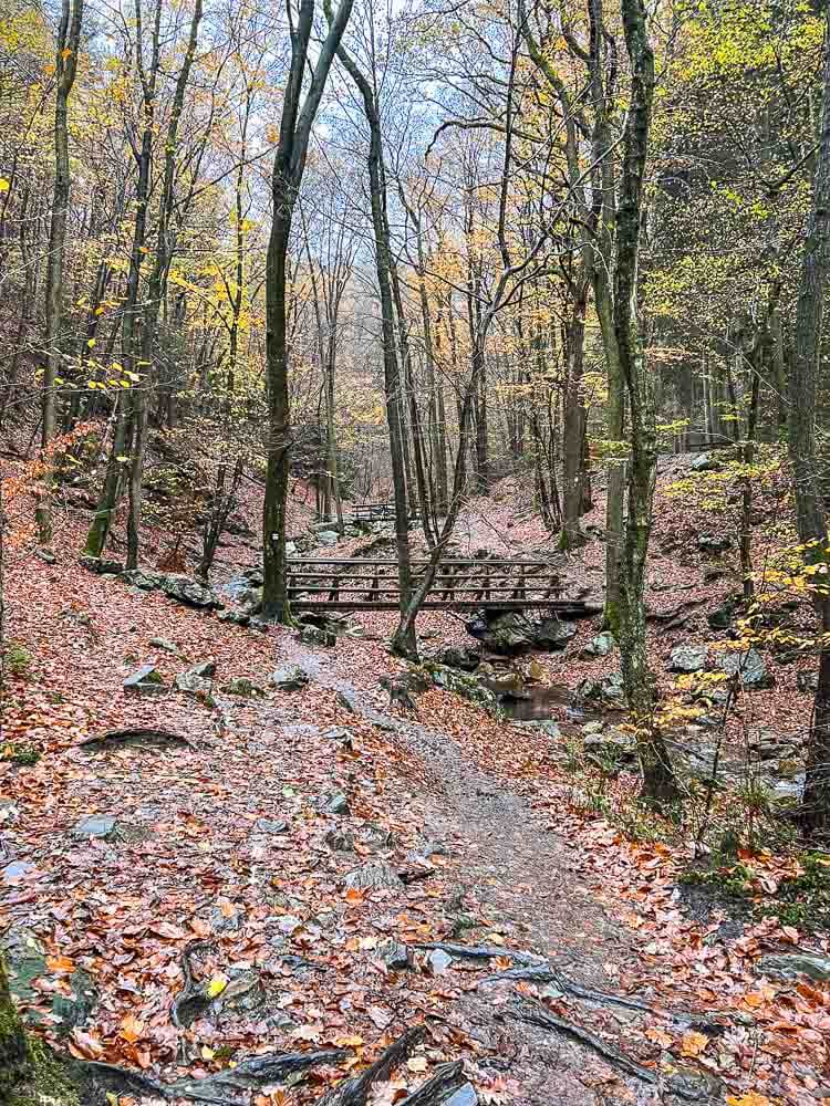 Ninglinspo hike