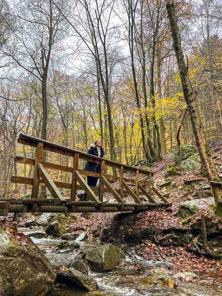 Ninglinspo hike