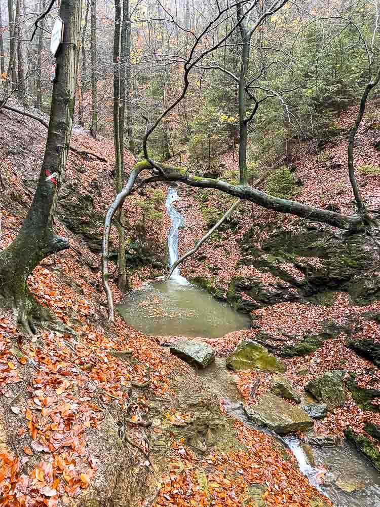 Ninglinspo hike
