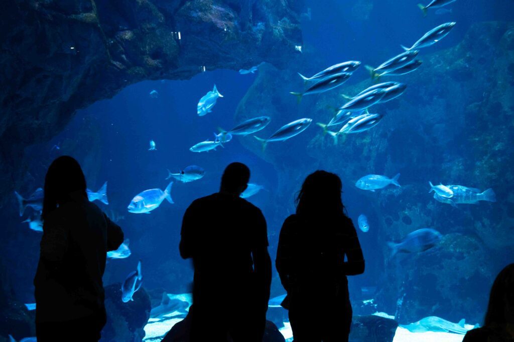 Best things to do in Gijon