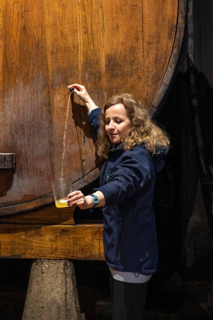 Best things to do in Gijon