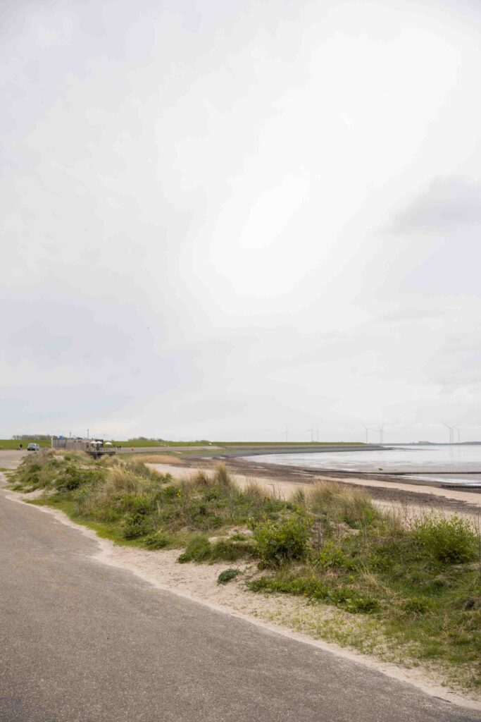 Het Ziltepad wandelen Friesland