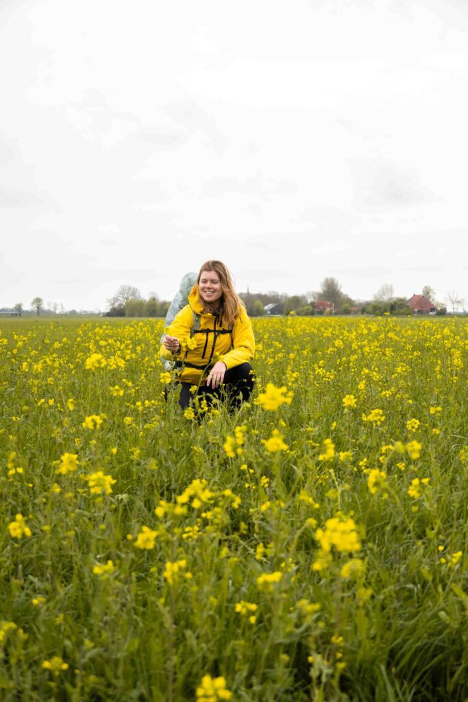 Het Ziltepad wandelen Friesland